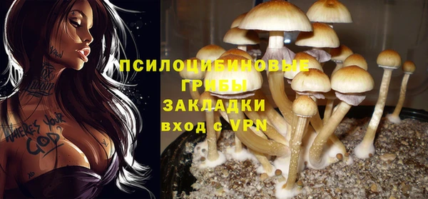 бошки Михайловка
